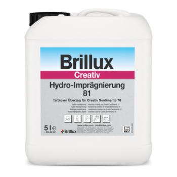 Creativ Hydro-Imprägnierung 81