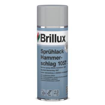 Sprühlack Hammerschlag 1057