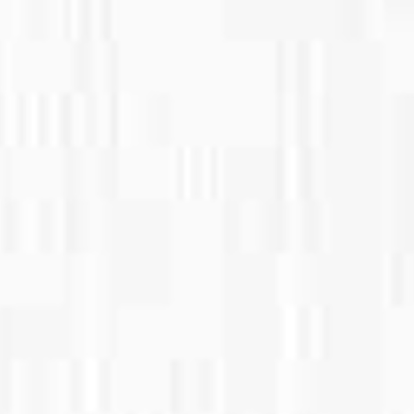 General (1,06 x 10,05 m)