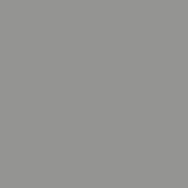 graualuminium RAL 9007