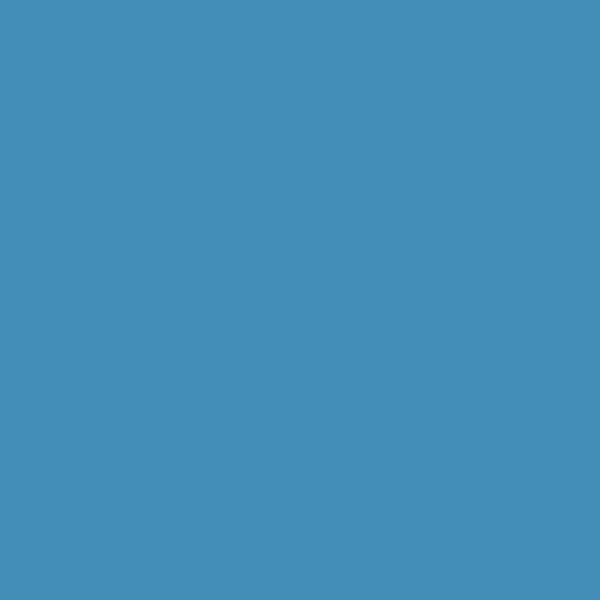 lichtblau RAL 5012