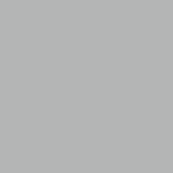 weißaluminium RAL 9006